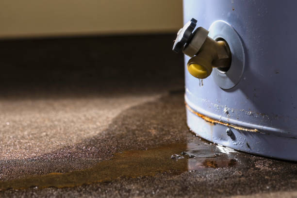 Best Ceiling water damage repair  in Wantagh, NY