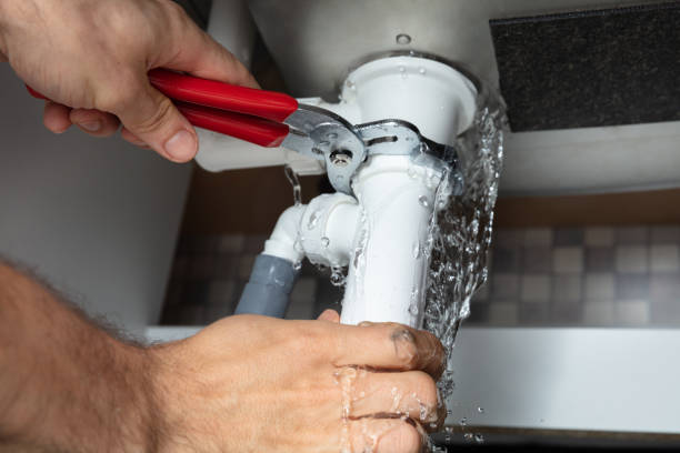 Best Flooded house restoration  in Wantagh, NY
