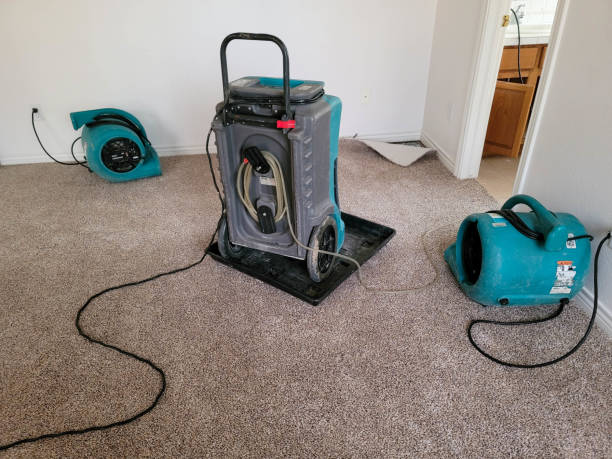 Best Fire Damage Restoration  in Wantagh, NY