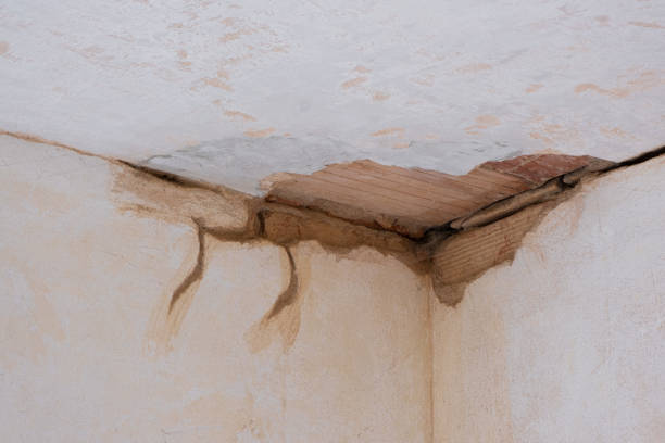 Best 24-hour water damage restoration  in Wantagh, NY