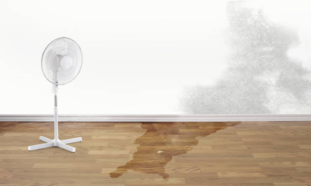 Best 24-hour water damage restoration  in Wantagh, NY