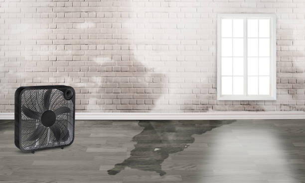  Wantagh, NY Water damage restoration Pros