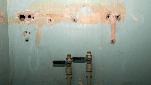 Trusted Wantagh, NY Water damage restoration Experts