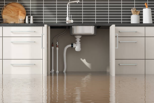 Best Local water damage restoration  in Wantagh, NY