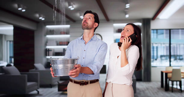 Carpet water damage restoration in Wantagh, NY